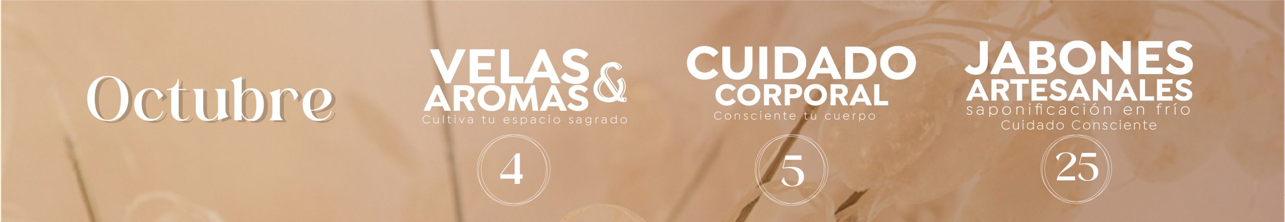 presencial web_Mesa de trabajo 1 copia 2