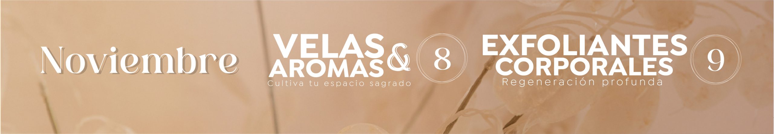 presencial web_Mesa de trabajo 1 copia 3